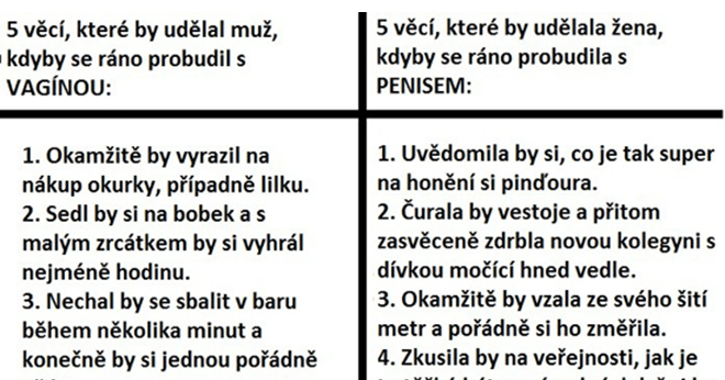divka dne vymena partneru divka dne vymena partneru