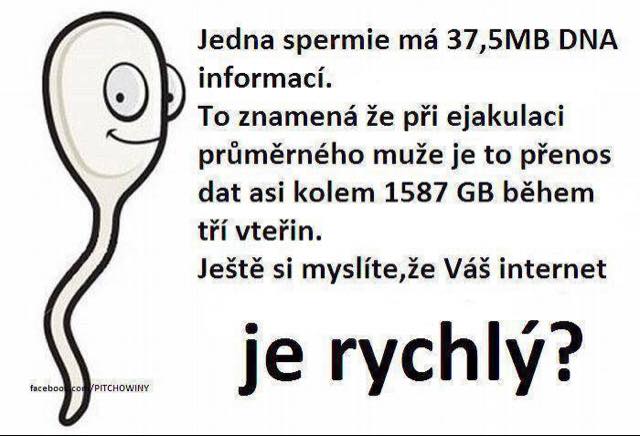 Rychlejší než internet