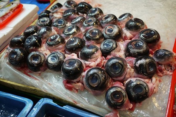 Oční bulvy z tuňáka