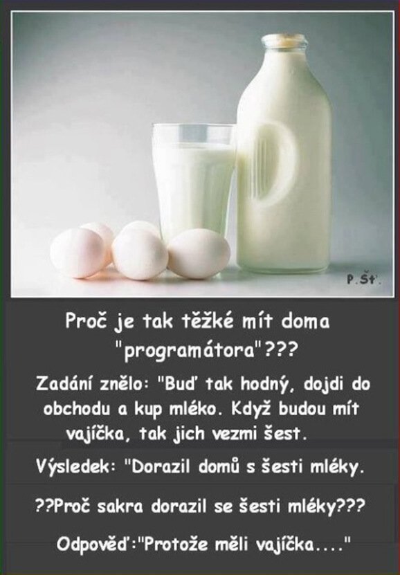 Programátor a manželství