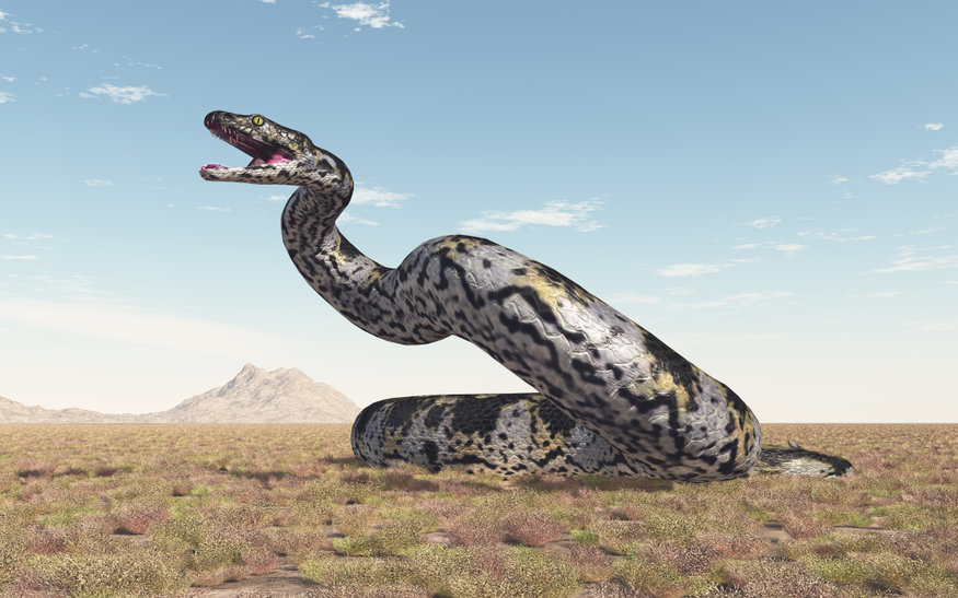 titanoboa