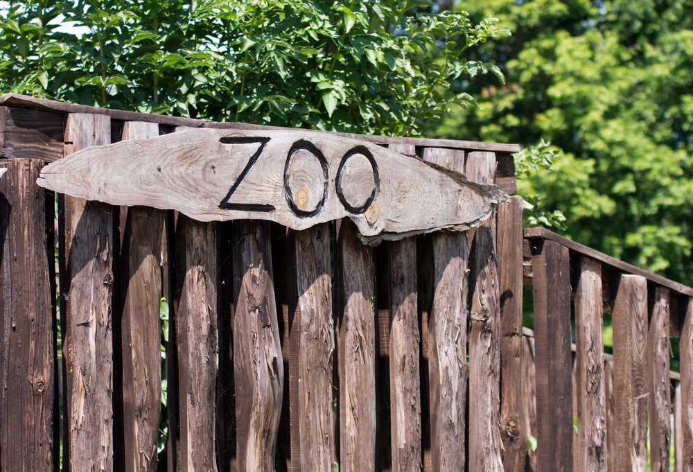 zoo